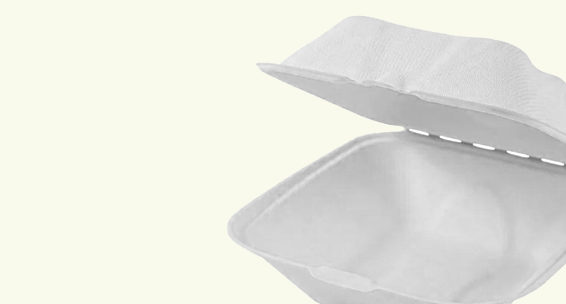 clamshell shop 02